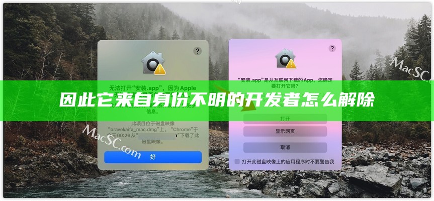 所以它来自身份不明的开发者怎么解除