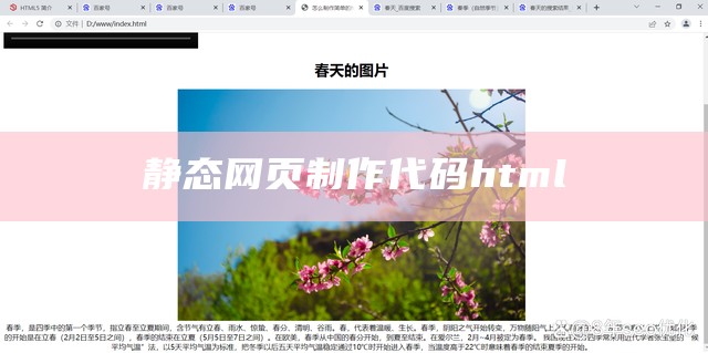 静态网页制作代码html