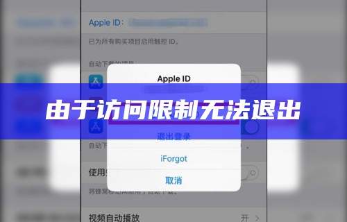由于访问限制无法退出