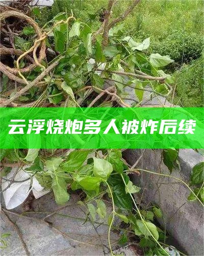 云浮烧炮多人被炸后续