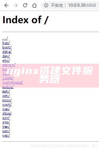 nginx搭建文件服务器