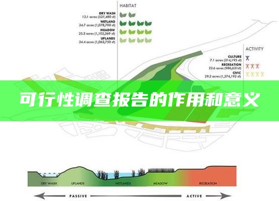 可行性调查报告的作用和意义