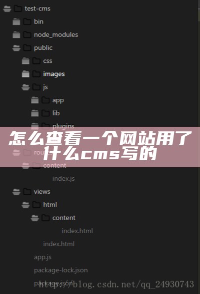 怎么查看一个网站用了什么cms写的