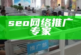 seo网络推广专家