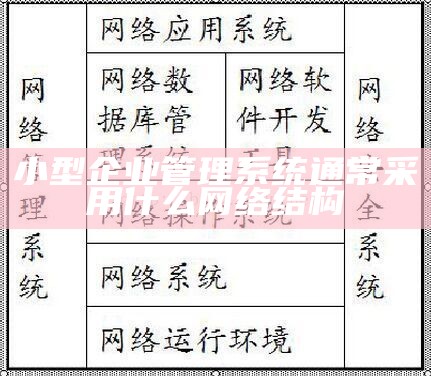 小型企业管理系统通常采用什么网络结构