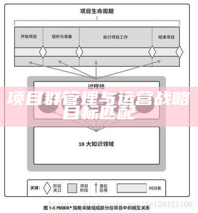 项目群管理与运营战略目标匹配