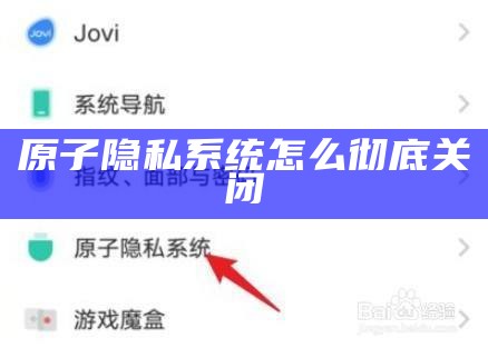 原子隐私系统怎么彻底关闭