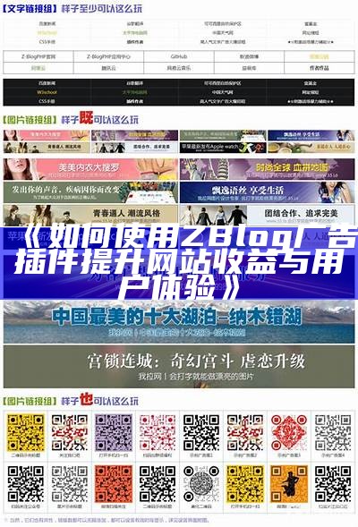 如何使用ZBLOG插件高效管理网站广告，提高访问量和收益