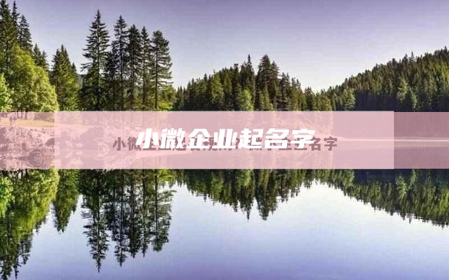 小微企业起名字