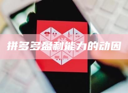 拼多多盈利能力的动因