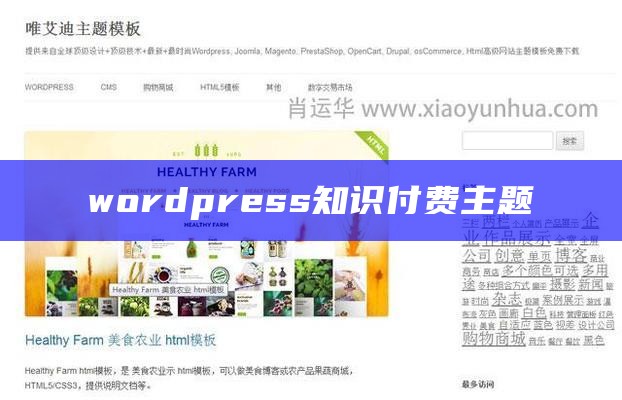 wordpress知识付费主题