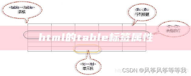 html的table标签属性