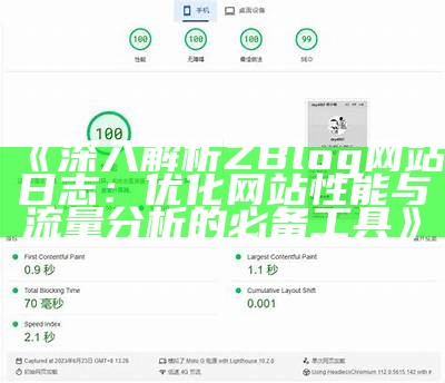 深入解析ZBlog网站日志：优化网站性能与流量研究的必备工具