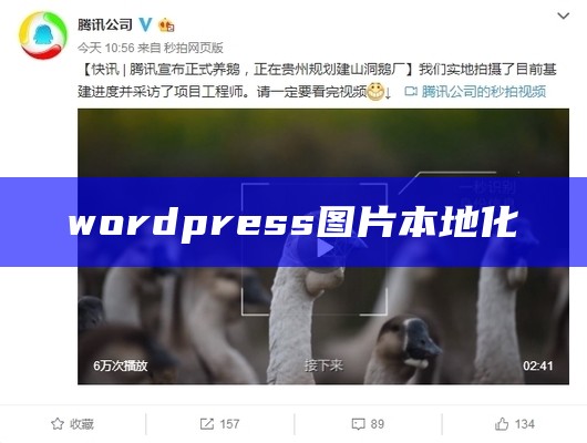 wordpress图片本地化