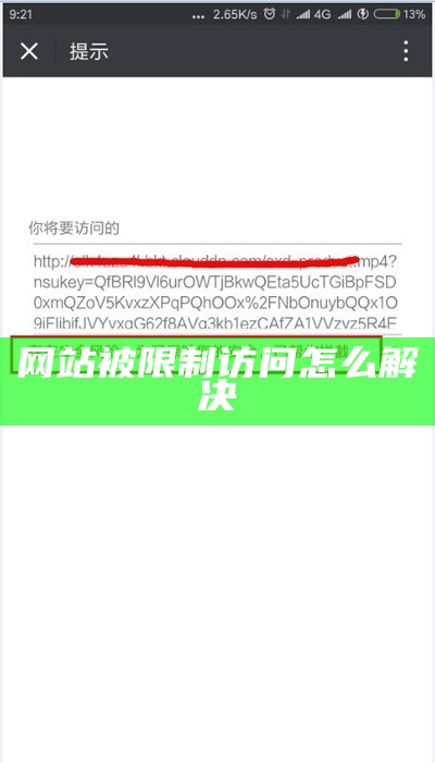 网站被限制访问怎么解决