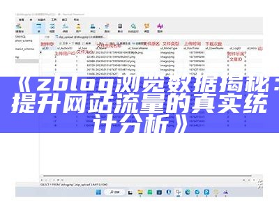 zblog浏览信息揭秘：提升网站流量的真实统计研究