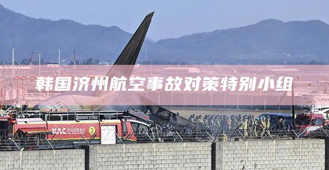 韩国济州航空事故对策特别小组