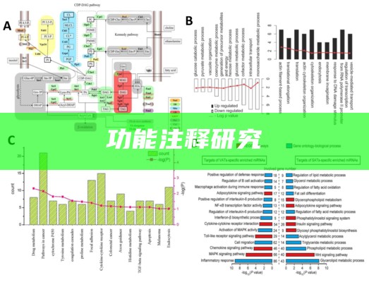 功能注释试验