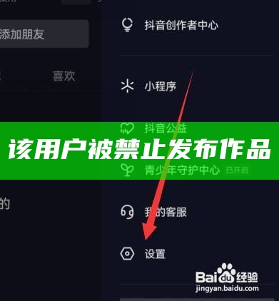 该用户被禁止发布作品