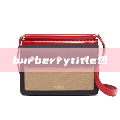 burberry title包