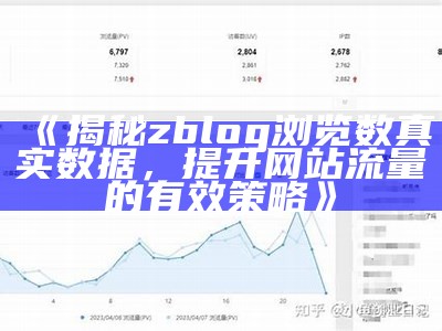 揭秘Zblog浏览资料：如何获取真实访问量统计