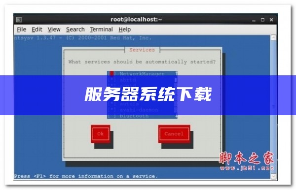 服务器系统下载