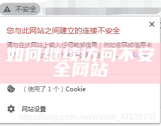 此网站不安全怎么能继续访问