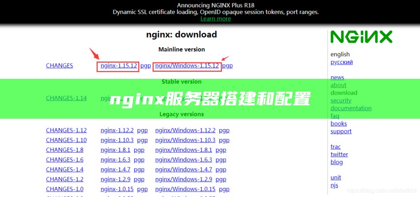 nginx服务器搭建和配置