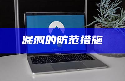 网络安全漏洞防范措施