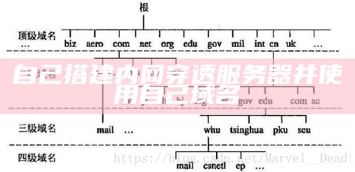 自己搭建内网穿透服务器并使用自己域名