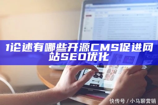 1论述有哪些开源CMS促进网站SEO优化