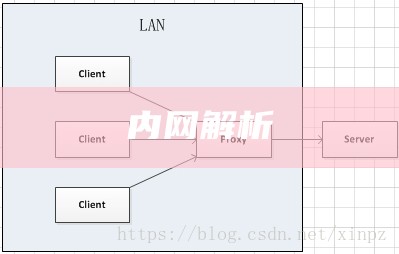 内网解析