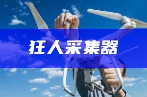 狂人采集器