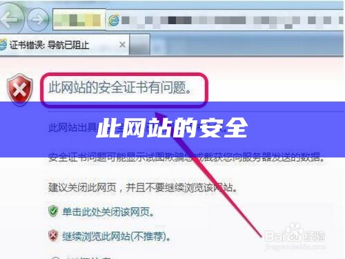 此网站的安全