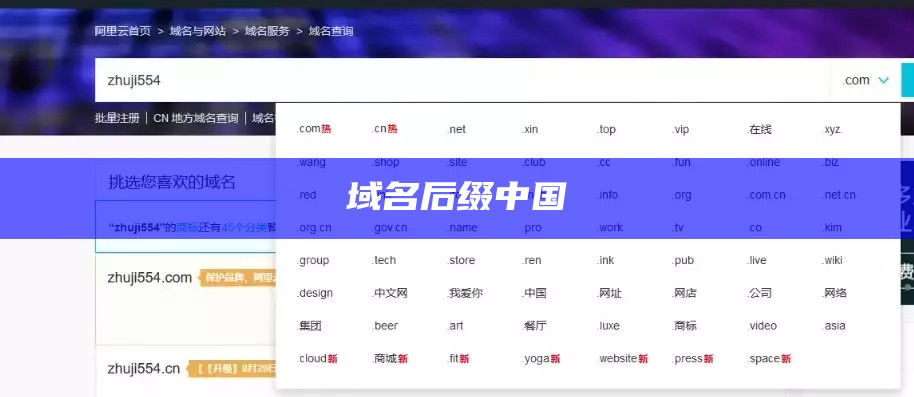 域名后缀中国