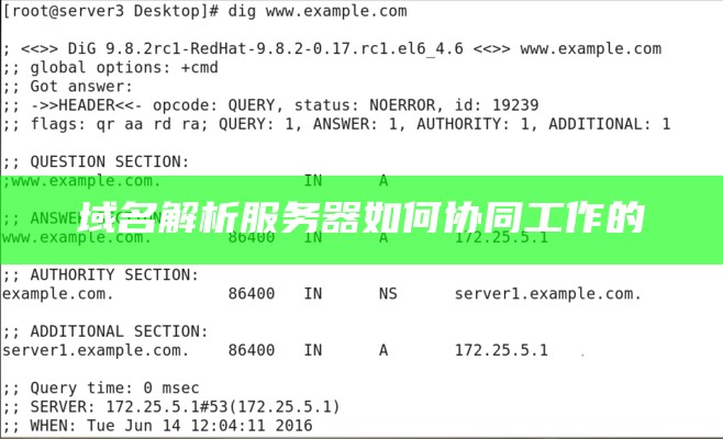 域名解析服务器如何协同工作的