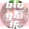 blog系统