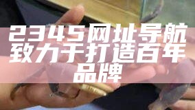 2345网址导航致力于打造百年品牌