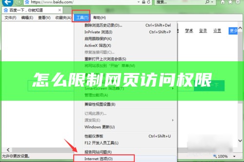 怎么限制网页访问权限