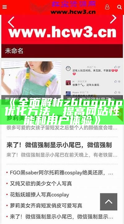 广泛解析zblogphp优化方法，提高网站性能和用户体验