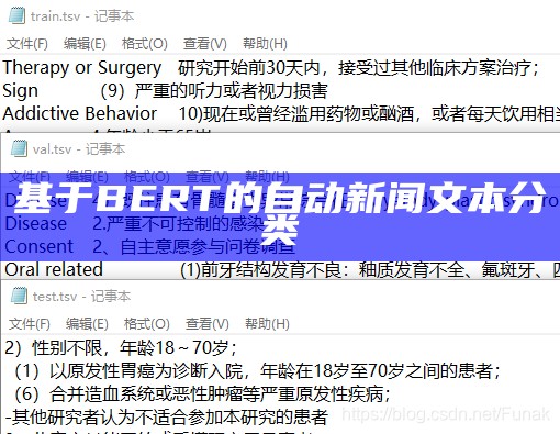 基于BERT的自动新闻文本分类