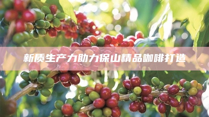 新质生产力助力保山精品咖啡打造