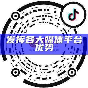 发挥各大媒体平台优势