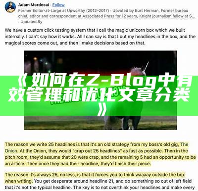 如何在Z-Blog中有效管理和优化文章分类