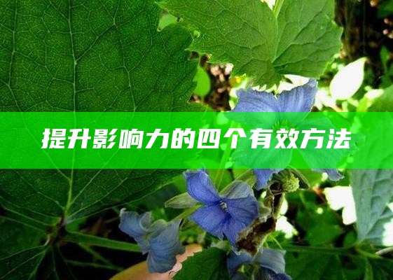 提升影响力的四个有效方法