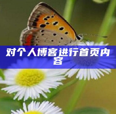 对个人博客进行首页内容