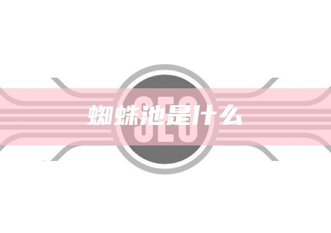 蜘蛛池是什么