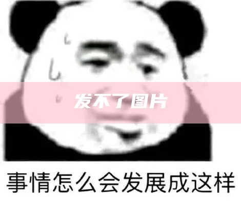 发不了图片