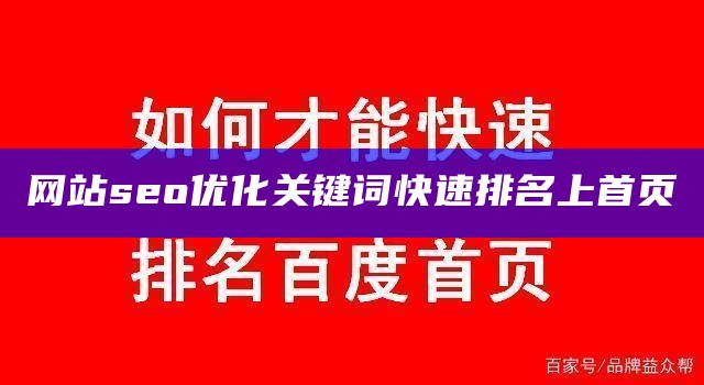 网站seo优化关键词快速排名上首页