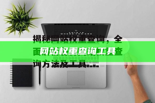 网站权重查询工具